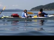 San Juan Islands, WA, Sea Kayaking: Eagles & Orcas