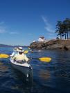 San Juan Islands, WA, Sea Kayaking: Eagles & Orcas