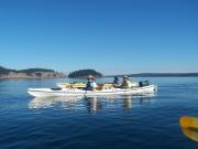 San Juan Islands, WA, Sea Kayaking: Eagles & Orcas