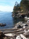 San Juan Islands, WA, Sea Kayaking: Eagles & Orcas