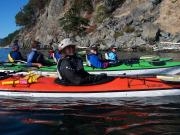 San Juan Islands, WA, Sea Kayaking: Eagles & Orcas