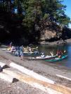 San Juan Islands, WA, Sea Kayaking: Eagles & Orcas