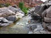 Gunnison River Canoeing