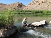 Gunnison River Canoeing--Upper Section: NEW River Stretch for 2014, 5-Day Trip