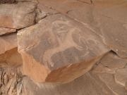 Gunnison River Canoeing - Teresa Stuart Private Trip