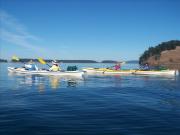 San Juan Islands, WA, Sea Kayaking: Eagles & Orcas