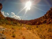 Gunnison River Canoeing: Beer Tasting