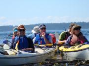 San Juan Islands, WA, Sea Kayaking: Eagles & Orcas