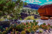 Gunnison River Canoeing