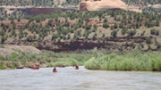 Dolores River Canoeing