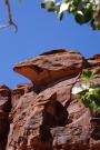 Gunnison River Canoeing: ActiVets