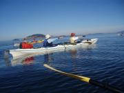 San Juan Islands, WA, Sea Kayaking: Eagles & Orcas