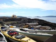 San Juan Islands, WA, Sea Kayaking: Eagles & Orcas