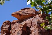 Gunnison River Canoeing: Denver Museum, Stargazing