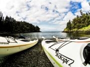 San Juan Islands, WA, Sea Kayaking: Eagles & Orcas July 12-14, 2019