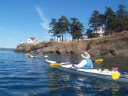 San Juan Islands, WA, Sea Kayaking: Eagles & Orcas August 30- September 1, 2019