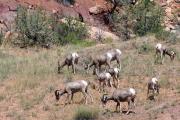 Gunnison River Canoeing: Canoe & Brew with Breckenridge Brewery