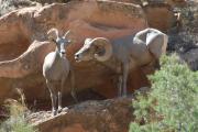 Colorado River Canoeing: Denver Museum Star Gazing - THIS TRIP IS FULL