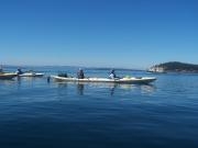 San Juan Islands, WA: Eagles & Orcas Sea Kayaking