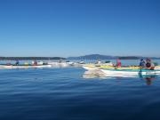 San Juan Islands, WA: Eagles & Orcas Sea Kayaking