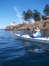 San Juan Islands, WA: Eagles & Orcas Sea Kayaking