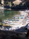 San Juan Islands, WA: Eagles & Orcas Sea Kayaking