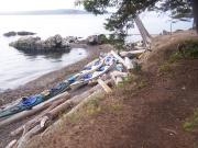 San Juan Islands, WA: Eagles & Orcas Sea Kayaking