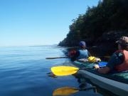 San Juan Islands, WA: Eagles & Orcas Sea Kayaking