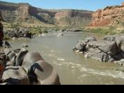 Colorado River: Bruce Rau Boy Scout Troop #770