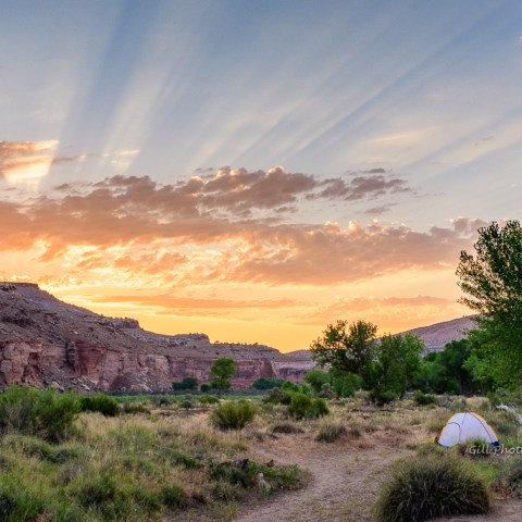 Tent in desert landscape at sunset with rugged cliffs and scattered trees.