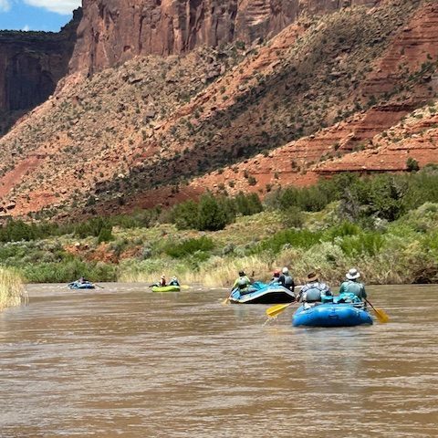 Rafts on a river with red cliffs and blue sky in the background.