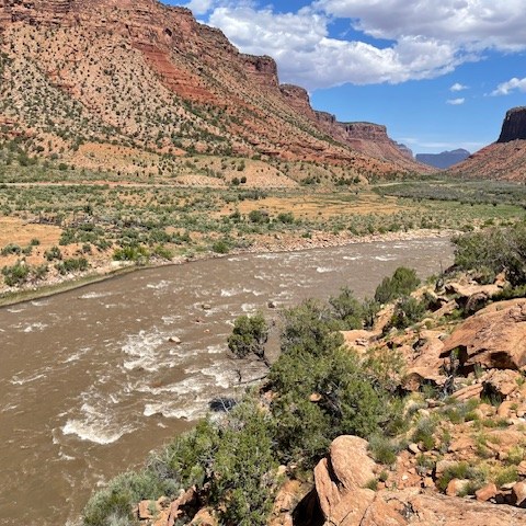 River flowing through a desert canyon with red rocky cliffs under a blue sky with clouds.