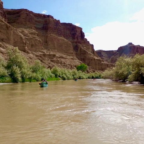 Canoeists paddle on a muddy river between cliffs under a clear sky.