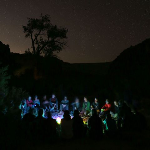 People sitting around a campfire under a starry night sky with silhouettes of trees.
