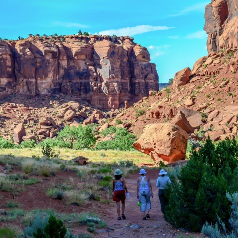 Three people hiking on a trail through a rocky desert canyon landscape with clear blue skies.