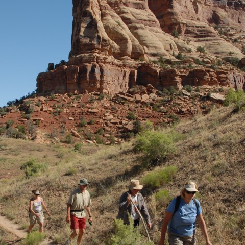 Four hikers on a desert path with a large red rock formation in the background.