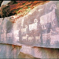 Petroglyphs of animals carved into a rock surface outdoors.